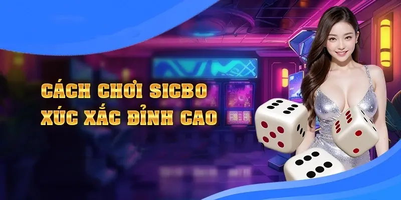 Nhiều cửa dự đoán hấp dẫn