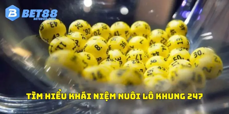 Tìm hiểu khái niệm nuôi lô khung 247