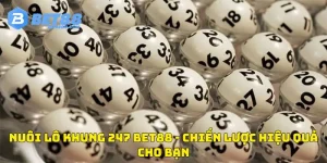 nuôi lô khung 247