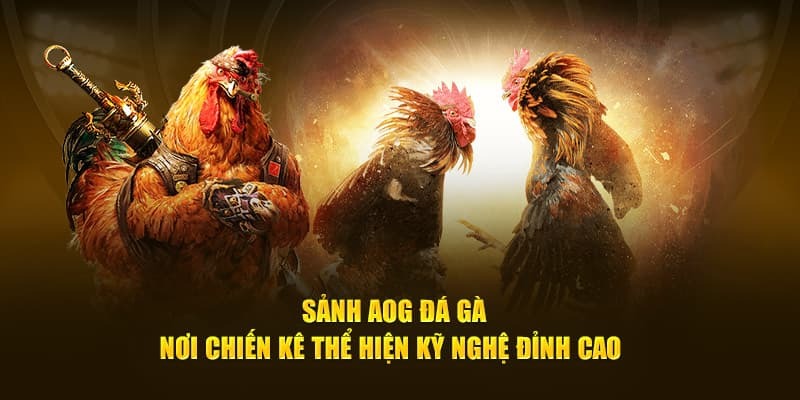 Hội tụ những chiến kê xuất sắc nhất trên thế giới
